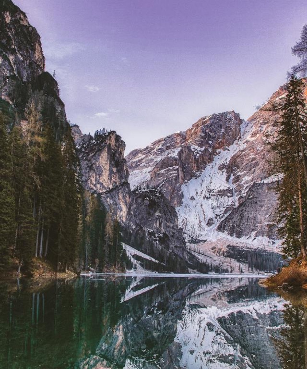 Scenic preference feature preview